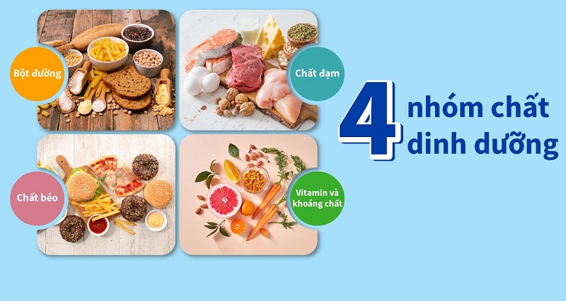 Thực đơn cho bé 1 tuổi ăn dặm giàu dinh dưỡng