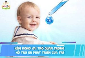 uống kẽm và vitamin D3 cùng lúc được không