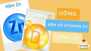 uống kẽm và vitamin D3 cùng lúc được không